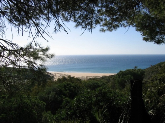 Beach below El Cañuelo